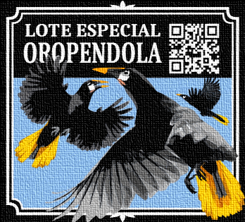 Oropendola